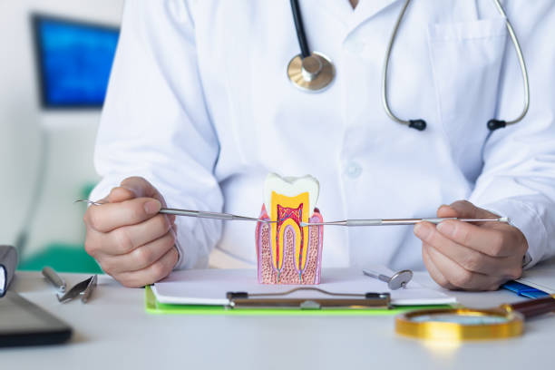 Best Emergency Broken Tooth Repair in Warrington, FL